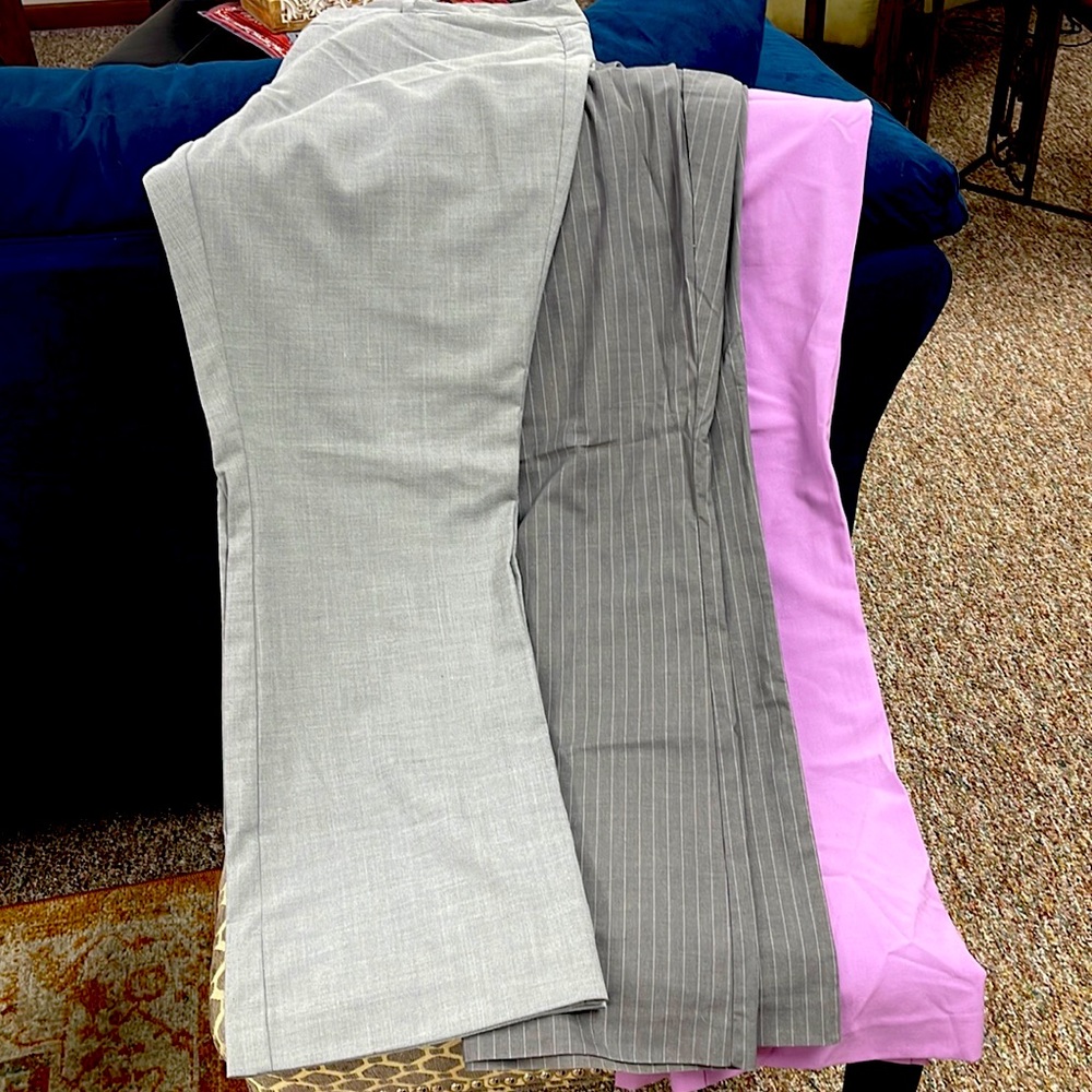 3 pair of dress pants, boot cut